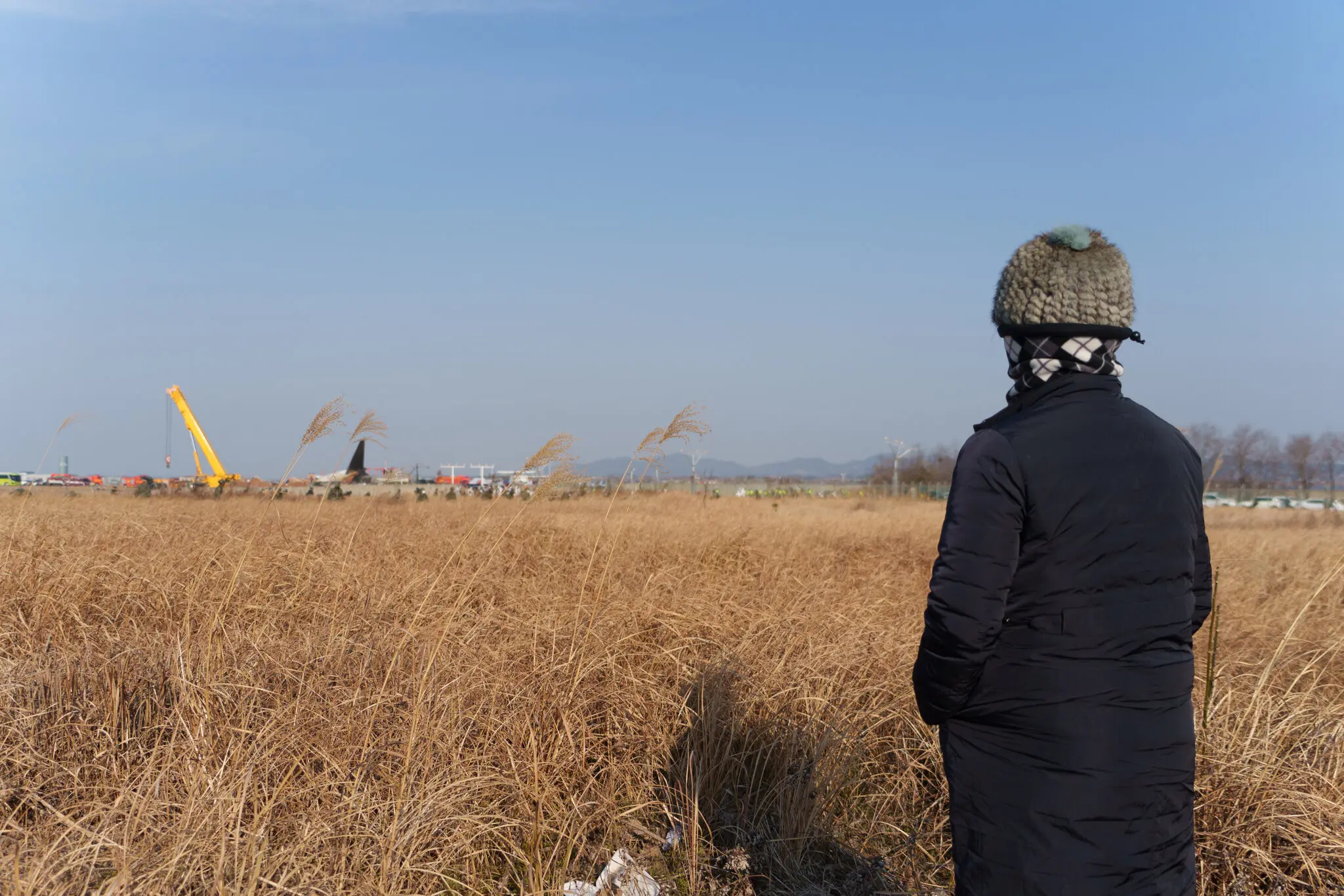 Рідкісна небезпека: пташині удари, що призводять до авіакатастроф